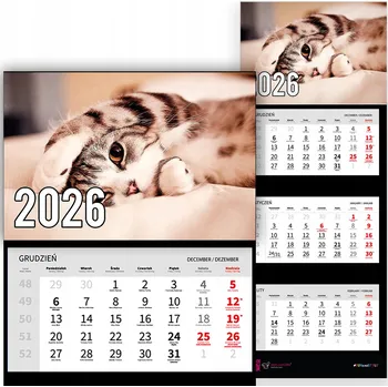 Obraz Trojdílný kalendář na rok 2026 nástěnný do kanceláře Zvířata Roztomilá kočka Mix Vzorů