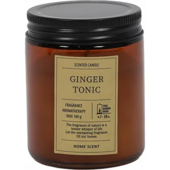 Svíčka Tradiční parafinová svíčka Ginger Tonic Home Styling Collection