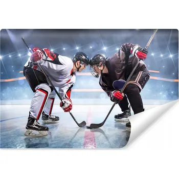 Fototapeta Fototapeta do Kanceláře HOKEJ Sport Stadion 3D 90x60