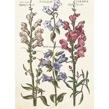 Výtvárné potřeby Přání Blue Flowers