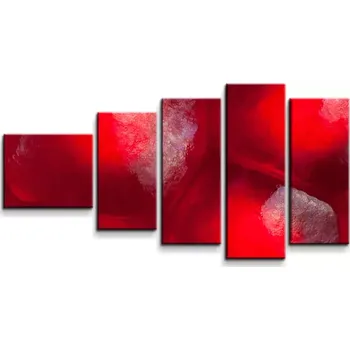 Obraz Sablio Obraz - 5-dílný Granátové jablko - 100x60 cm