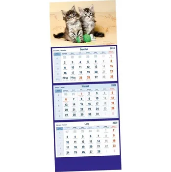 Kalendář Třídílný kalendář 2024 Michalczyk i Prokop Kočky