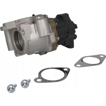 Váha vzduchu Ventil EGR NRF 48673