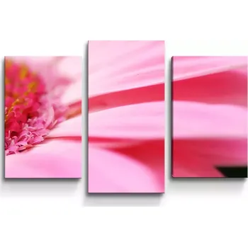 Obraz Sablio Obraz - 3-dílný Růžová gerbera - 75x50 cm