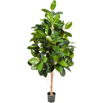 umělá květina Ficus Elastica Verzweigt (20x210cm)-umělá -ý + doprava zdarma