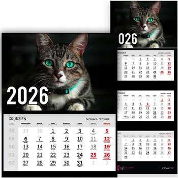 Kalendář Kalendář Trojdílný 2026 Nástěnný Do Kanceláře Kočka S Modrýma Očima Mix Vzorů