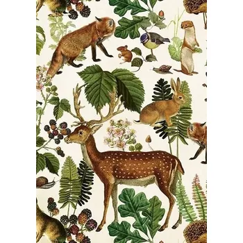 Výtvarná sada Přání Forest Animals