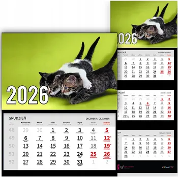 Obraz Trojdílný kalendář na rok 2026 nástěnný do kanceláře Zvířata Tři Koťátka Mix Vzorů