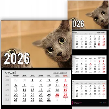 Obraz Trojdílný kalendář na rok 2026 nástěnný do kanceláře Zvířata Dva kocouři Mix vzorů