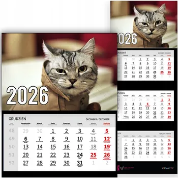 Obraz Trojdílný kalendář na rok 2026 nástěnný do kanceláře Zvířata Vážná kočka Mix Vzorů