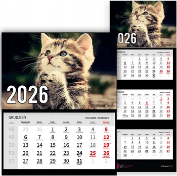 Obraz Trojdílný Kalendář na Zeď 2026 do Kanceláře - Zvířata, Roztomilá Koťátka, Různé Vzory