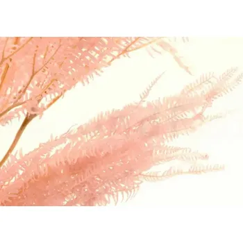 umělá květina Stabilizovaný kapradinový deštník - růžová