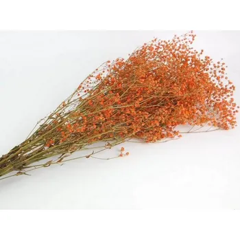 umělá květina Stabilizované květiny Gypsophila – oranžová