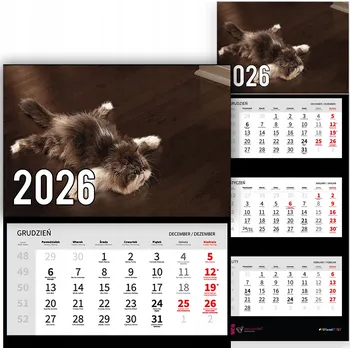Obraz Trojdílný nástěnný kalendář na rok 2026 - Zvířata - Vtipný kocourek Vz