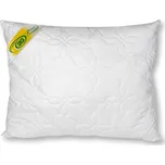 2G Lipov Polštář Dreamfill 50x70 cm