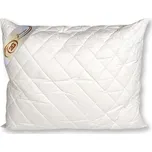 2G Lipov Polštář Botanica z bavlny 70x90 cm