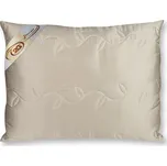 2G Lipov Saténový polštář SILK hedvábí 70x90 cm
