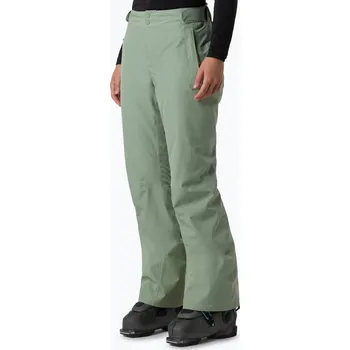 Dámské kalhoty Dámské lyžařské kalhoty The North Face Descendit Regular slate moss