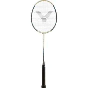 Zabezpečení domácnosti Raketa Victor DriveX 7SP X