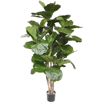 umělá květina Ficus Lyrata Bush (17x170cm)-umělá -ý + doprava zdarma