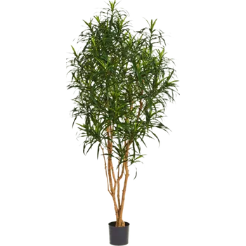 umělá květina Dracaena Anita Verzweigt (17x180cm)-umělá -ý + doprava zdarma