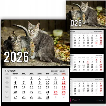 Obraz Trojdílný nástěnný kalendář na rok 2026 - Kočičí máma a koťata - Různé vzory