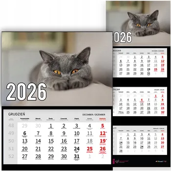 Obraz Trojdílný nástěnný kalendář na rok 2026 - Zvířata - Britská kočka