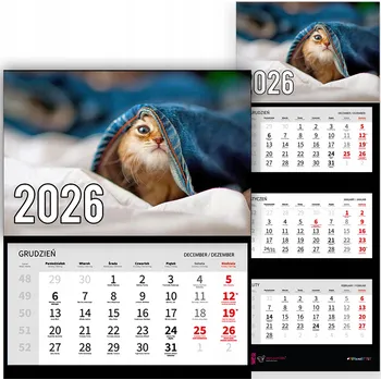 Obraz Trojdílný Kalendář na Zeď 2026 do Kanceláře - Zvířata - Kocourek v Kalhotách - Vzor