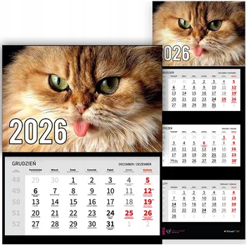Obraz Trojdílný Kalendář na Zeď 2026 do Kanceláře - Zvířata Kočka s Jazykem