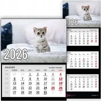 Obraz Trojdílný Kalendář na Rok 2026 Nástěnný do Kanceláře Zvířata Vystrašené Kotě