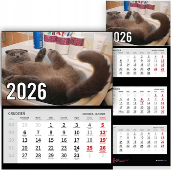 Obraz Trojdílný nástěnný kalendář na rok 2026 - Zvířata - Kočka v umyvadle Vz