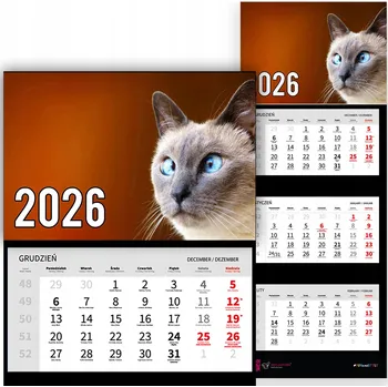 Obraz Trojdílný kalendář na rok 2026 nástěnný do kanceláře Zvířata Vtipná kočka Mix Vzorů