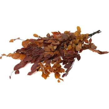 umělá květina Stabilizované bukové listy – podzimní