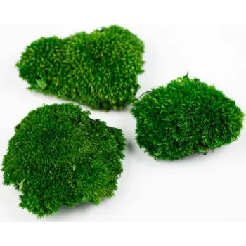 umělá květina Stabilizovaný kopečkový mech extra mini – tmavý Bednička: 0,08 m²