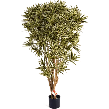 umělá květina Dracaena Reflexa India Verzweigt (17x145cm)-umělá -ý + doprava zdarma