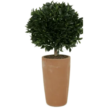 umělá květina Laurus Nobilis Kugel Auf Stamm (12x60cm)-umělá -ý