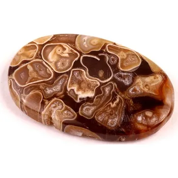 Korálek Kabošon Peanut Fossil č.2527 (39x25x5mm)