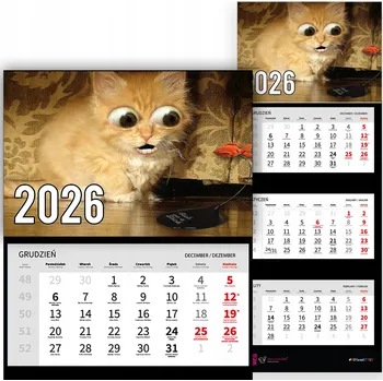 Obraz Trojdílný Kalendář na Zeď 2026 do Kanceláře - Zvířata, Vtipné Kočky, Různé Vzory
