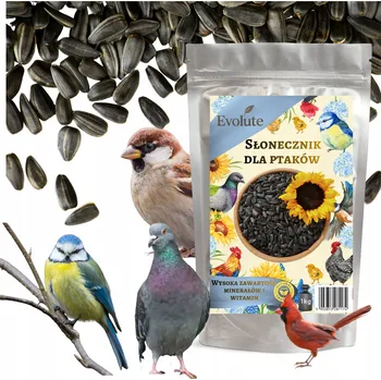 Pro ptáka SLUNEČNICE PRO PTÁKY 1kg KRMIVO KRMNÁ SMĚS ZRNO POLSKÉ DO KRMÍTKA
