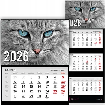 Obraz Trojdílný nástěnný kalendář na rok 2026 do kanceláře - Zvířata - Krásná kočka - Mix Vzorů