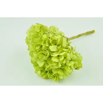umělá květina Stabilizované květiny Hortenzie – zelená