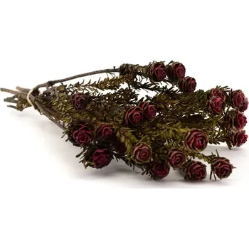 umělá květina Stabilizovaná kytice Tortum - červená