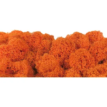 Stabilizovaný čištěný mech - finský lišejník - oranžový Váha: 250g