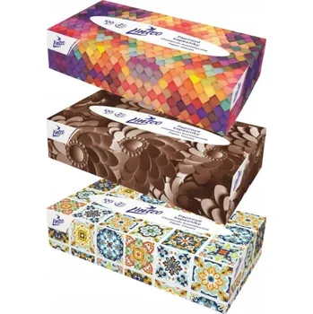 Papírový kapesník HYGIENICKÉ KAPESNÍČKY LINTEO 100 KS SATIN V KARTONOVÉM OBALU