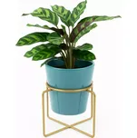 Present Time Coy, tyrkysový keramický květináč na podstavci