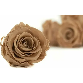 umělá květina Stabilizovaná růže Kiara XL – hnědá