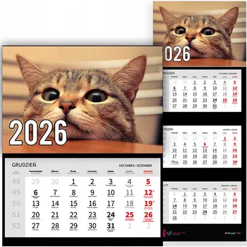 Obraz Trojdílný Kalendář na Zeď 2026 do Kanceláře - Zvířata - Znuděná Kočka - Různé Vzory