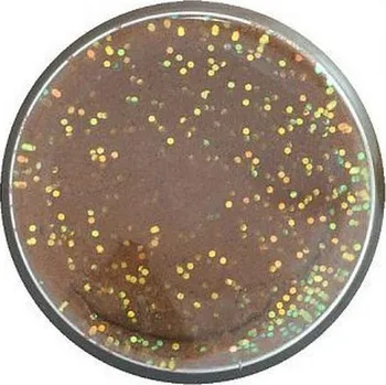 Umělá nástraha Berkley Těsto na pstruhy PowerBait Natural Glitter - Fish Pellet Glitter