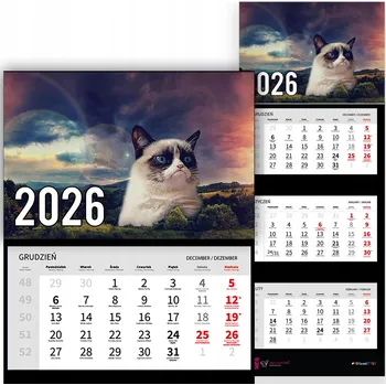 Obraz Trojdílný kalendář na rok 2026 nástěnný do kanceláře Zvířata Smutný kocour Mix Vzory