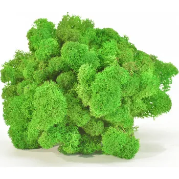 umělá květina Stabilizovaný mech - lišejník - hráškově zelený Váha: 1kg